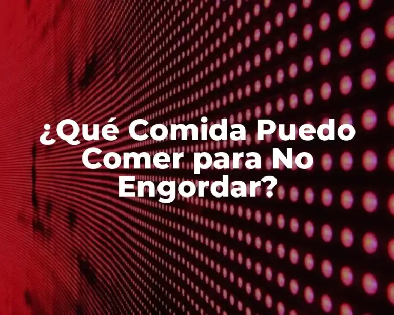 ¿Qué Comida Puedo Comer para No Engordar?