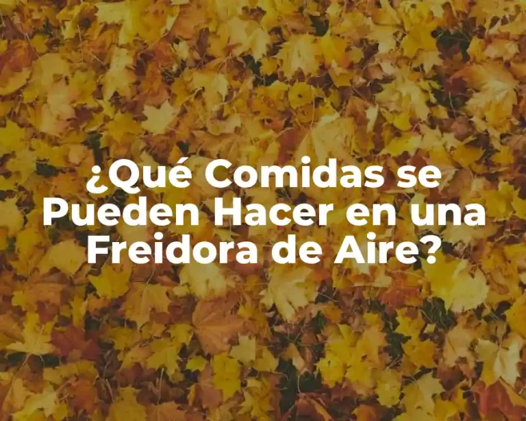 ¿Qué Comidas se Pueden Hacer en una Freidora de Aire?