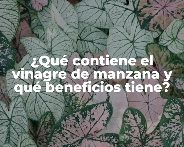 ¿Qué contiene el vinagre de manzana y qué beneficios tiene?