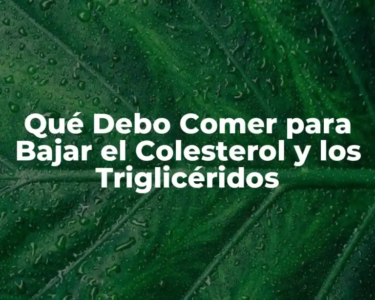 Qué Debo Comer para Bajar el Colesterol y los Triglicéridos