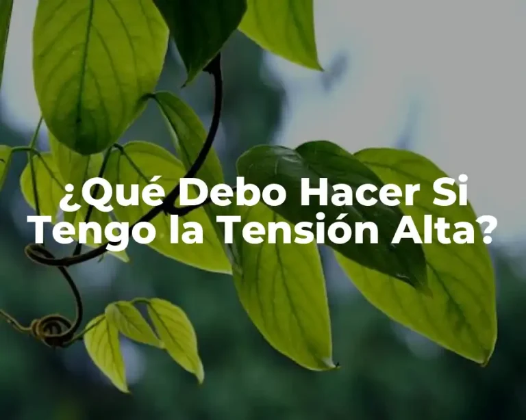 ¿Qué Debo Hacer Si Tengo la Tensión Alta?