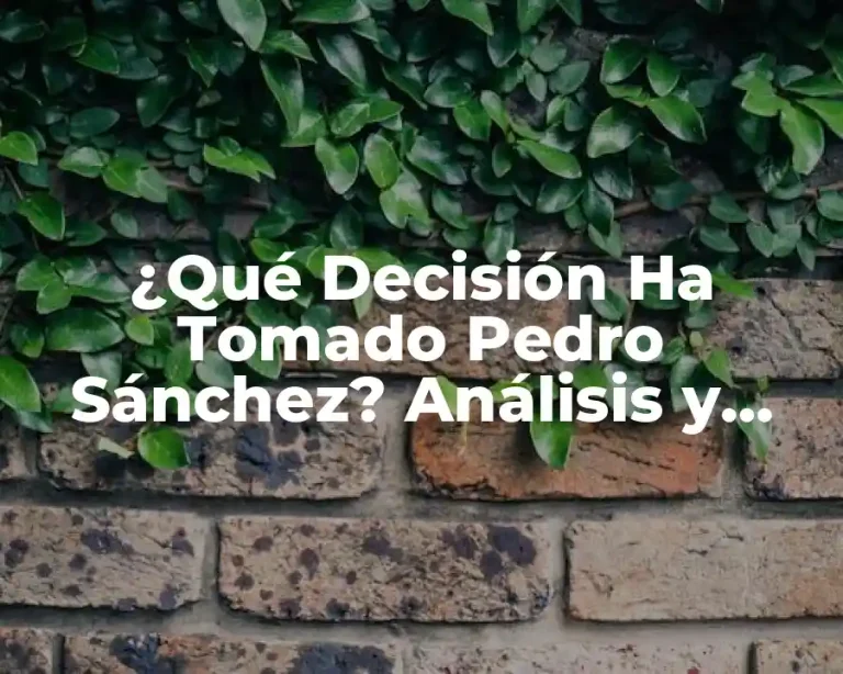 ¿Qué Decisión Ha Tomado Pedro Sánchez? Análisis y Consecuencias