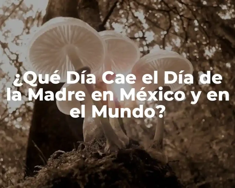 ¿Qué Día Cae el Día de la Madre en México y en el Mundo?