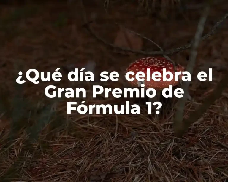 ¿Qué día se celebra el Gran Premio de Fórmula 1?