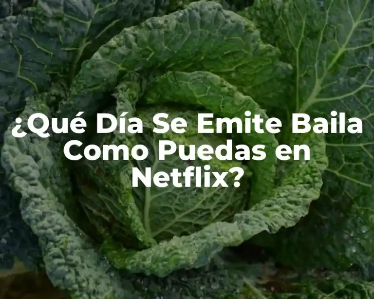¿Qué Día Se Emite Baila Como Puedas en Netflix?