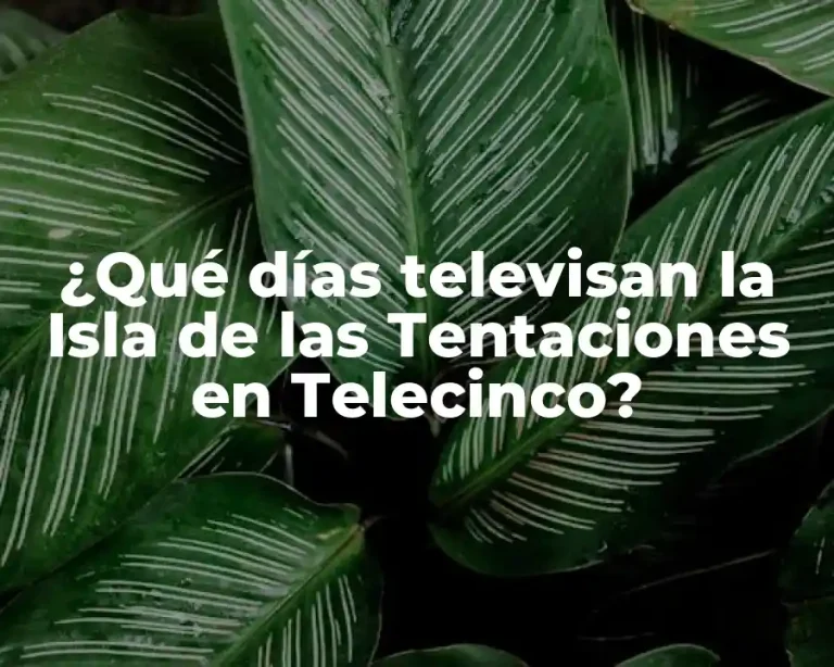 ¿Qué días televisan la Isla de las Tentaciones en Telecinco?
