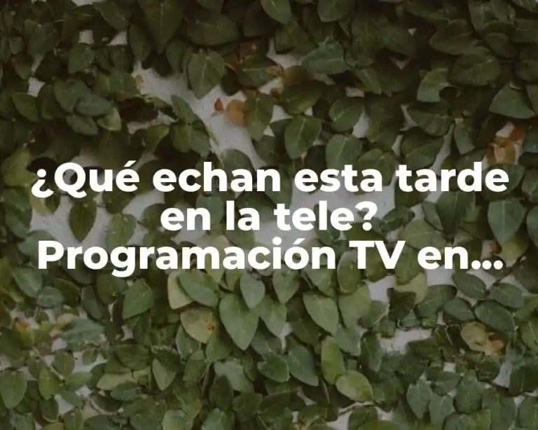 ¿Qué echan esta tarde en la tele? Programación TV en vivo