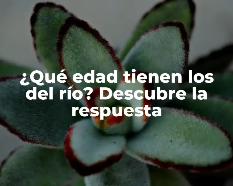 ¿Qué edad tienen los del río? Descubre la respuesta