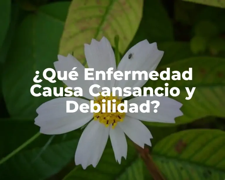 ¿Qué Enfermedad Causa Cansancio y Debilidad?