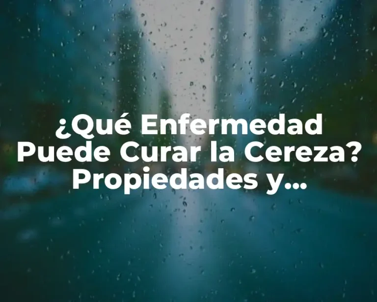 ¿Qué Enfermedad Puede Curar la Cereza? Propiedades y Beneficios de la Cereza para la Salud