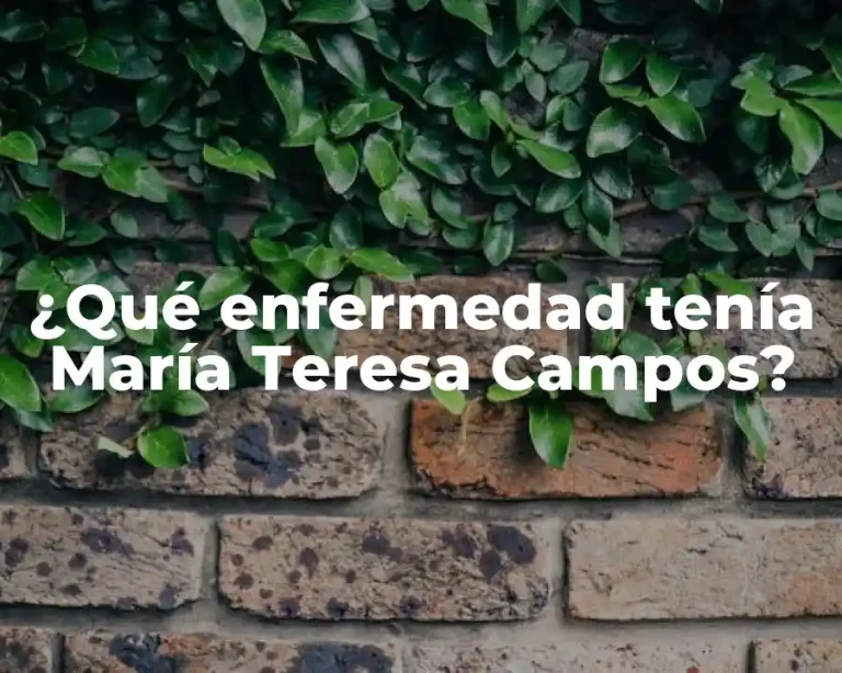 ¿Qué enfermedad tenía María Teresa Campos?