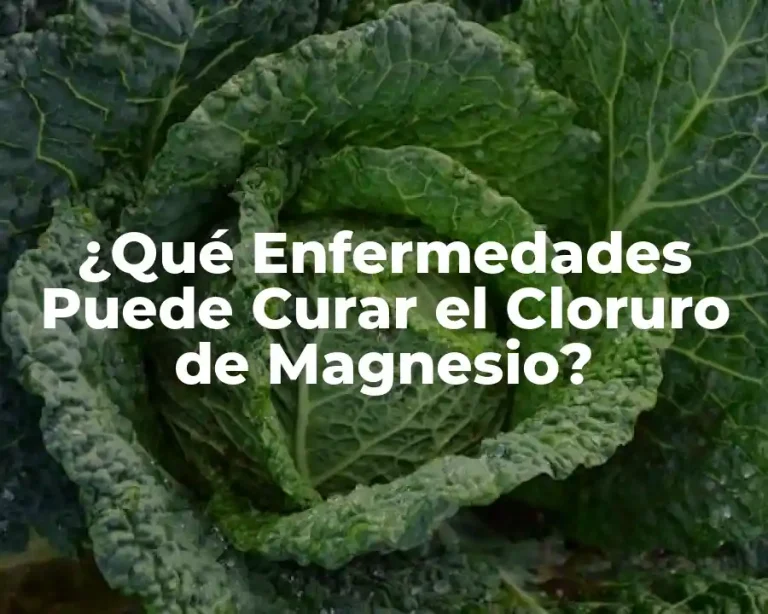 ¿Qué Enfermedades Puede Curar el Cloruro de Magnesio?