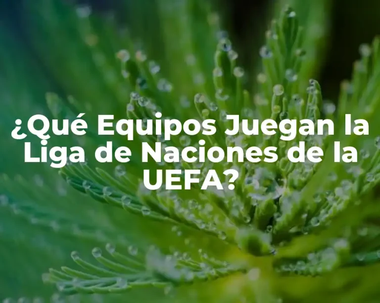 ¿Qué Equipos Juegan la Liga de Naciones de la UEFA?