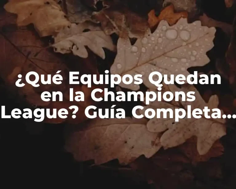 ¿Qué Equipos Quedan en la Champions League? Guía Completa de la Competencia