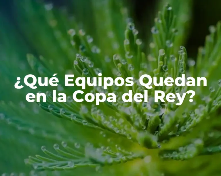 ¿Qué Equipos Quedan en la Copa del Rey?