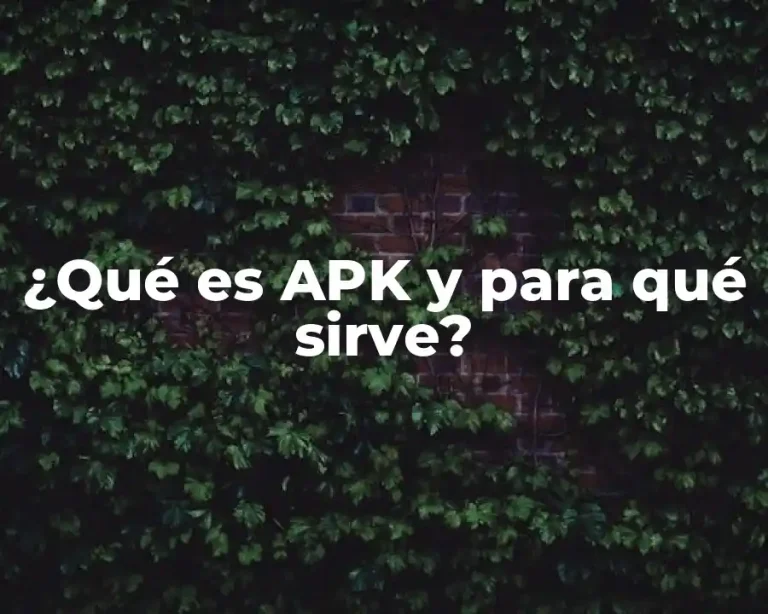 ¿Qué es APK y para qué sirve?