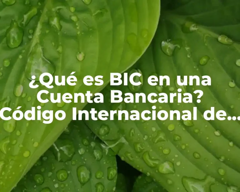 ¿Qué es BIC en una Cuenta Bancaria? Código Internacional de Identificación de Banco