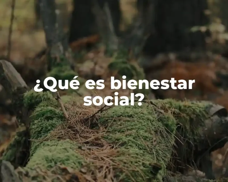 ¿Qué es bienestar social?