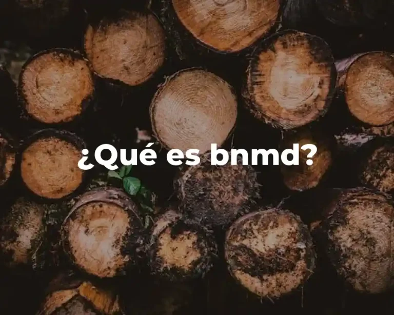 ¿Qué es bnmd?