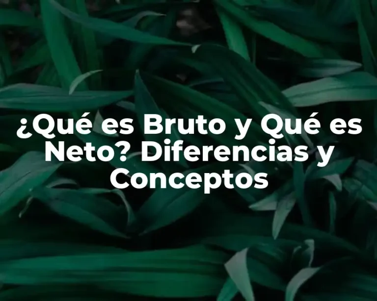 ¿Qué es Bruto y Qué es Neto? Diferencias y Conceptos