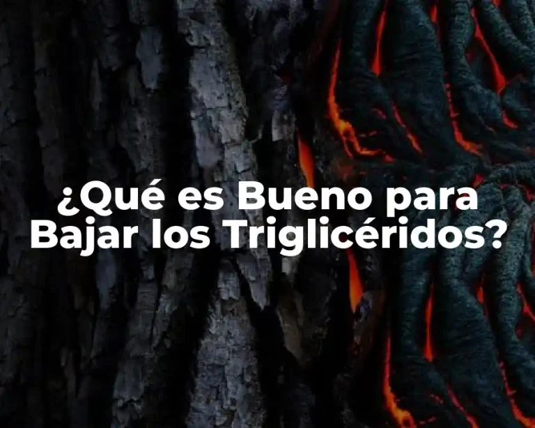 ¿Qué es Bueno para Bajar los Triglicéridos?