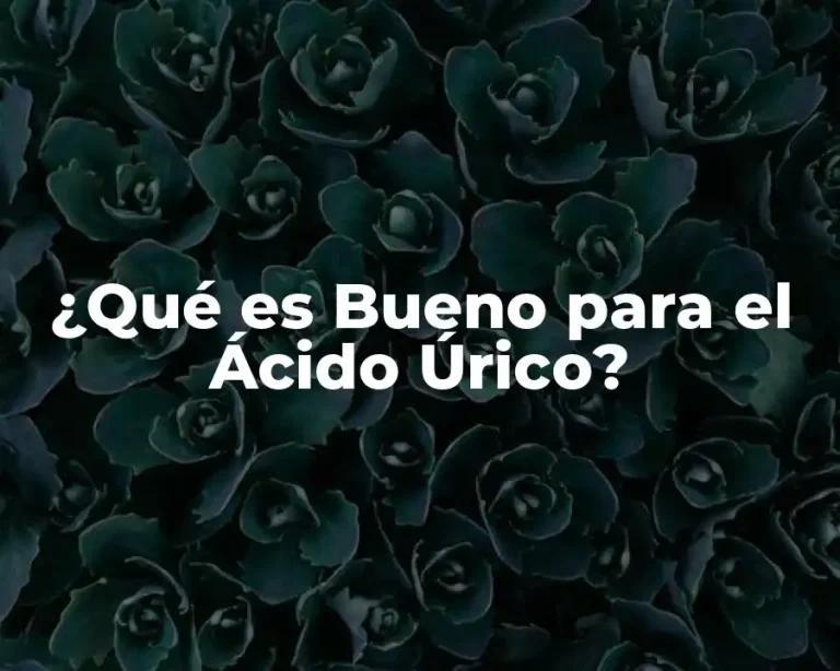 ¿Qué es Bueno para el Ácido Úrico?