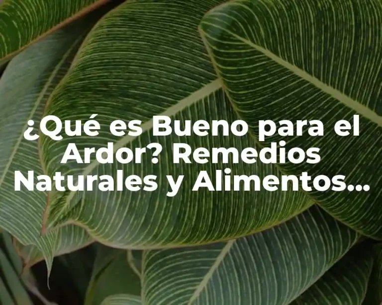 ¿Qué es Bueno para el Ardor? Remedios Naturales y Alimentos que Ayudan