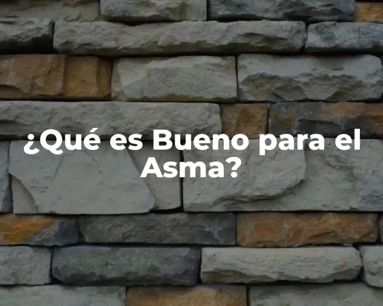 ¿Qué es Bueno para el Asma?