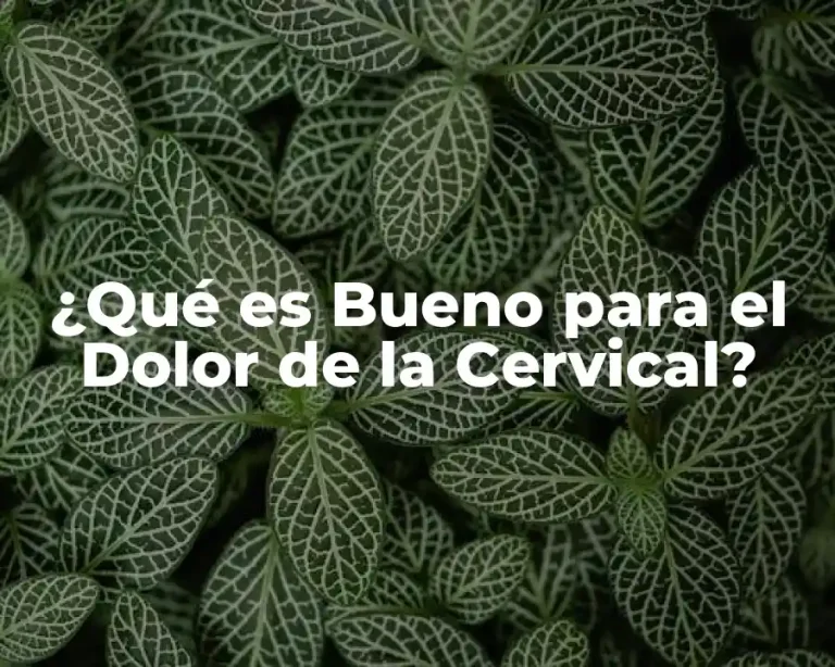 ¿Qué es Bueno para el Dolor de la Cervical?