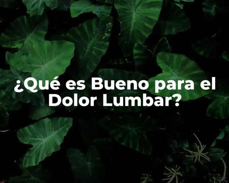 ¿Qué es Bueno para el Dolor Lumbar?