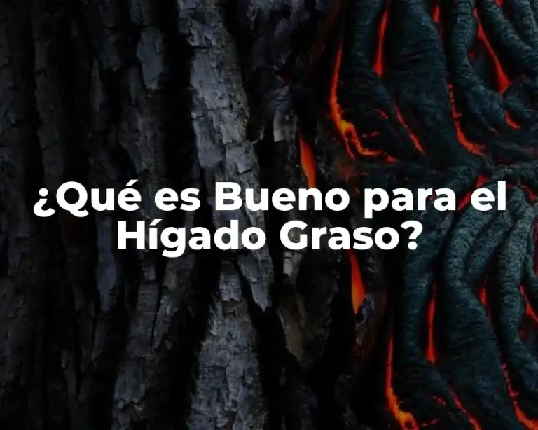 ¿Qué es Bueno para el Hígado Graso?