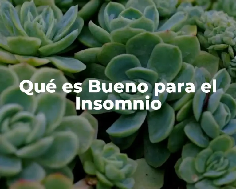 Qué es Bueno para el Insomnio