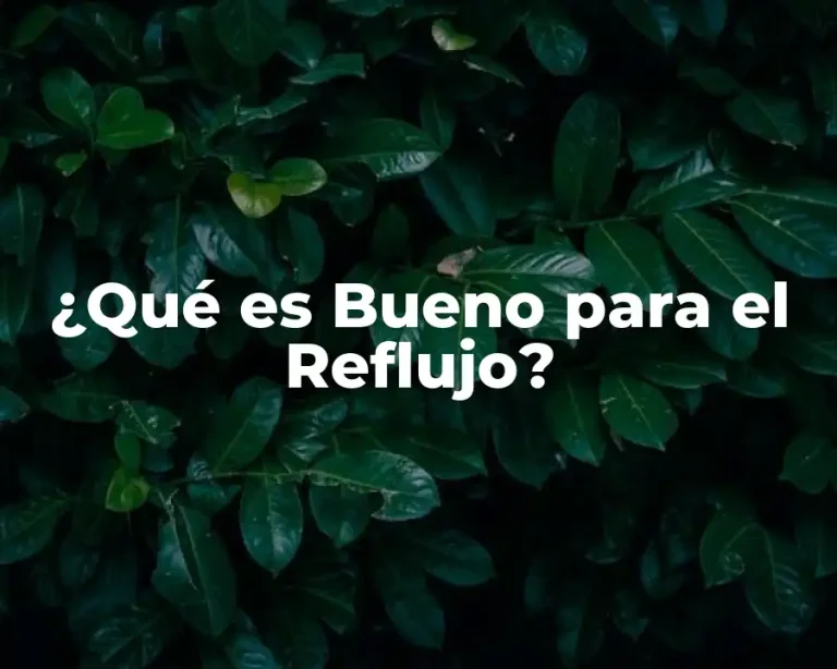 ¿Qué es Bueno para el Reflujo?