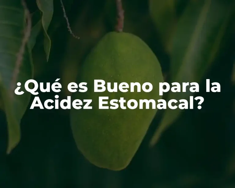 ¿Qué es Bueno para la Acidez Estomacal?