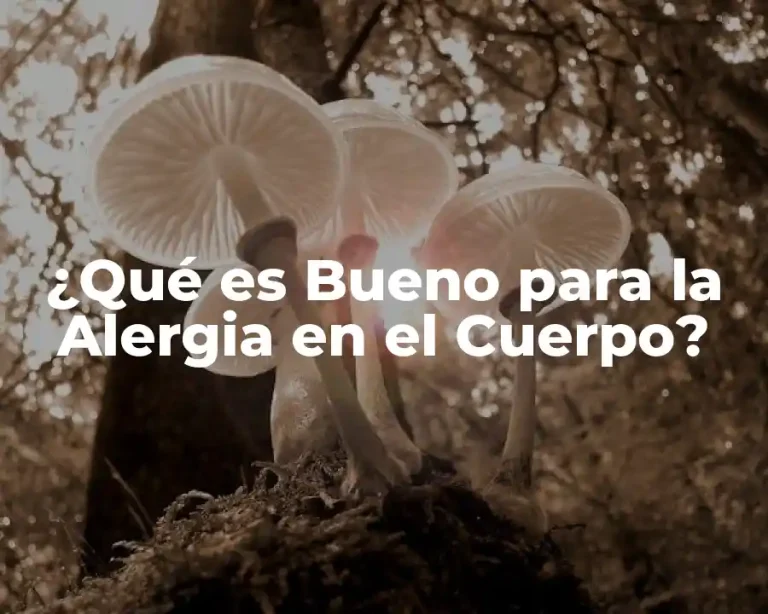 ¿Qué es Bueno para la Alergia en el Cuerpo?