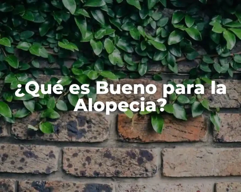 ¿Qué es Bueno para la Alopecia?