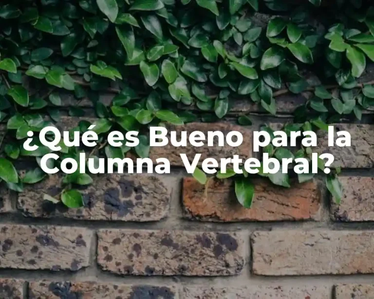 ¿Qué es Bueno para la Columna Vertebral?