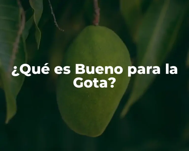 ¿Qué es Bueno para la Gota?