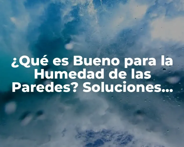 ¿Qué es Bueno para la Humedad de las Paredes? Soluciones Eficientes para un Hogar Saludable