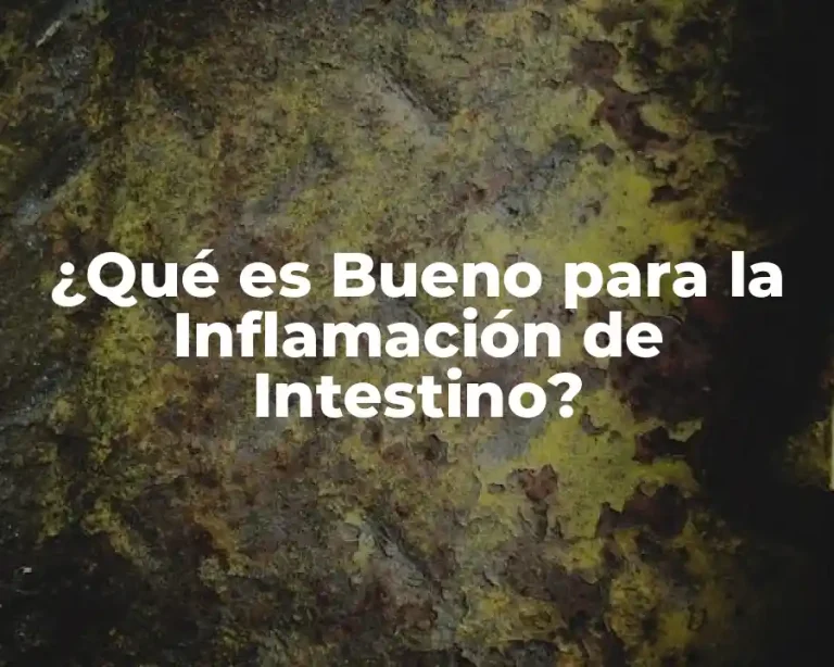 ¿Qué es Bueno para la Inflamación de Intestino?