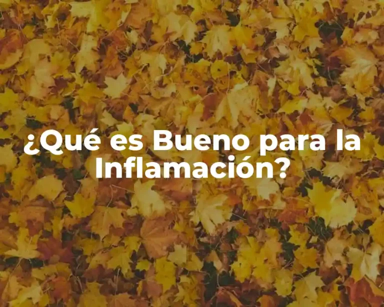 ¿Qué es Bueno para la Inflamación?