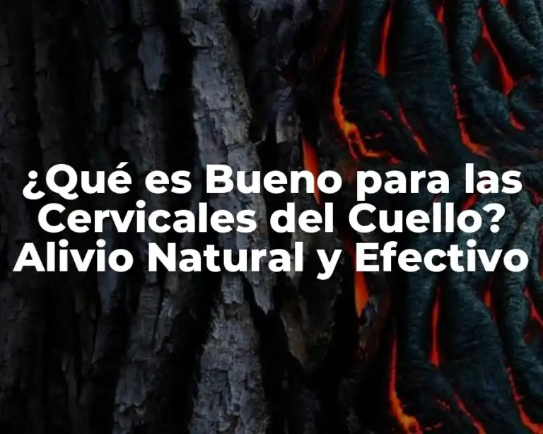 ¿Qué es Bueno para las Cervicales del Cuello? Alivio Natural y Efectivo