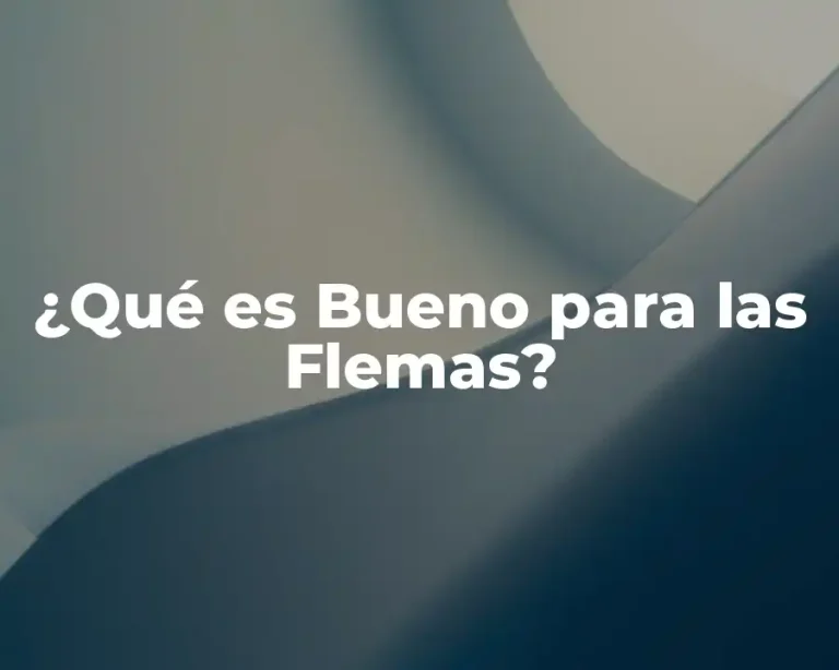 ¿Qué es Bueno para las Flemas?