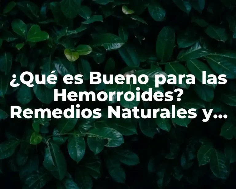¿Qué es Bueno para las Hemorroides? Remedios Naturales y Tratamientos Efectivos
