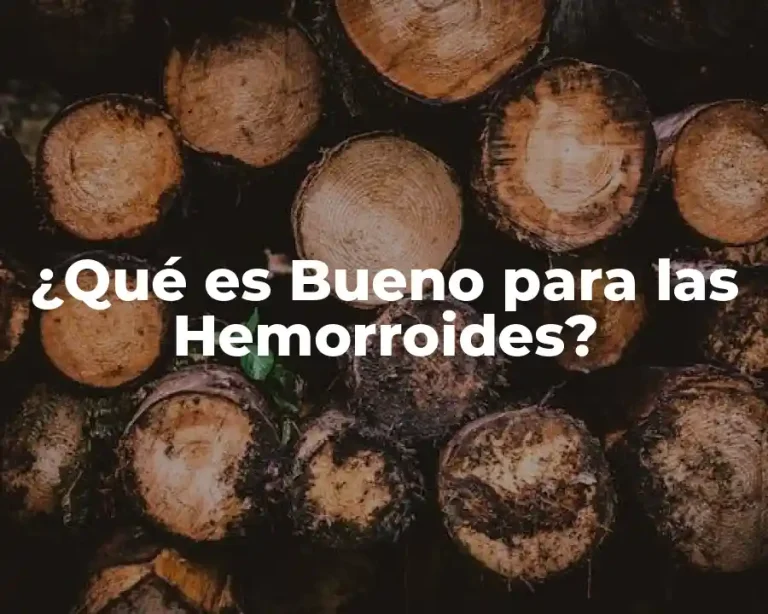 ¿Qué es Bueno para las Hemorroides?