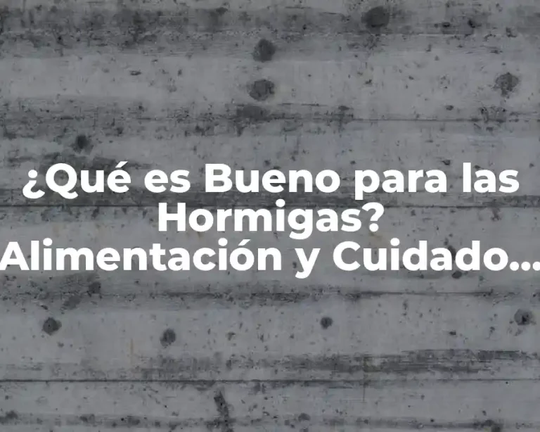 ¿Qué es Bueno para las Hormigas? Alimentación y Cuidado para Hormigas