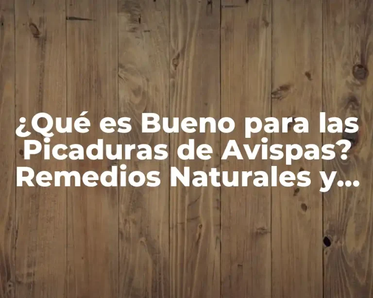 ¿Qué es Bueno para las Picaduras de Avispas? Remedios Naturales y Efectivos