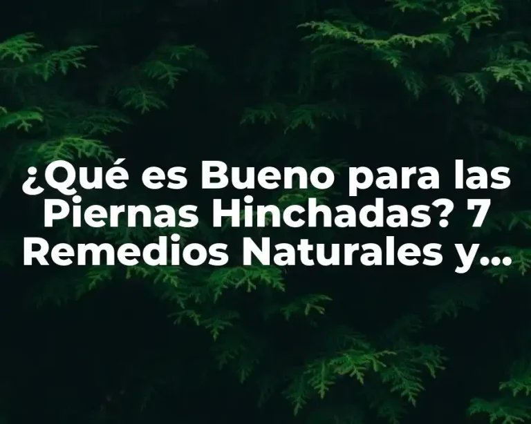 ¿Qué es Bueno para las Piernas Hinchadas? 7 Remedios Naturales y Tips para Aliviar el Dolor