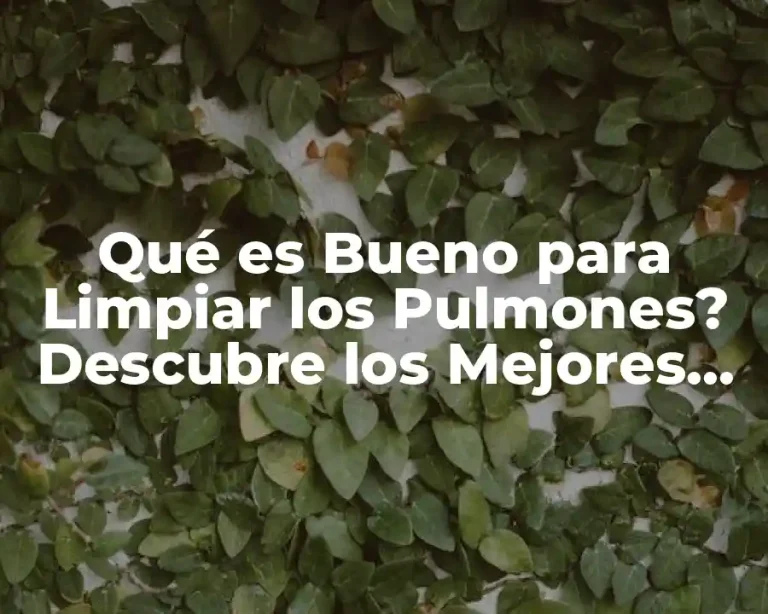 Qué es Bueno para Limpiar los Pulmones? Descubre los Mejores Remedios Naturales