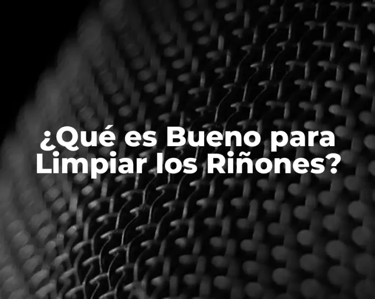 ¿Qué es Bueno para Limpiar los Riñones?